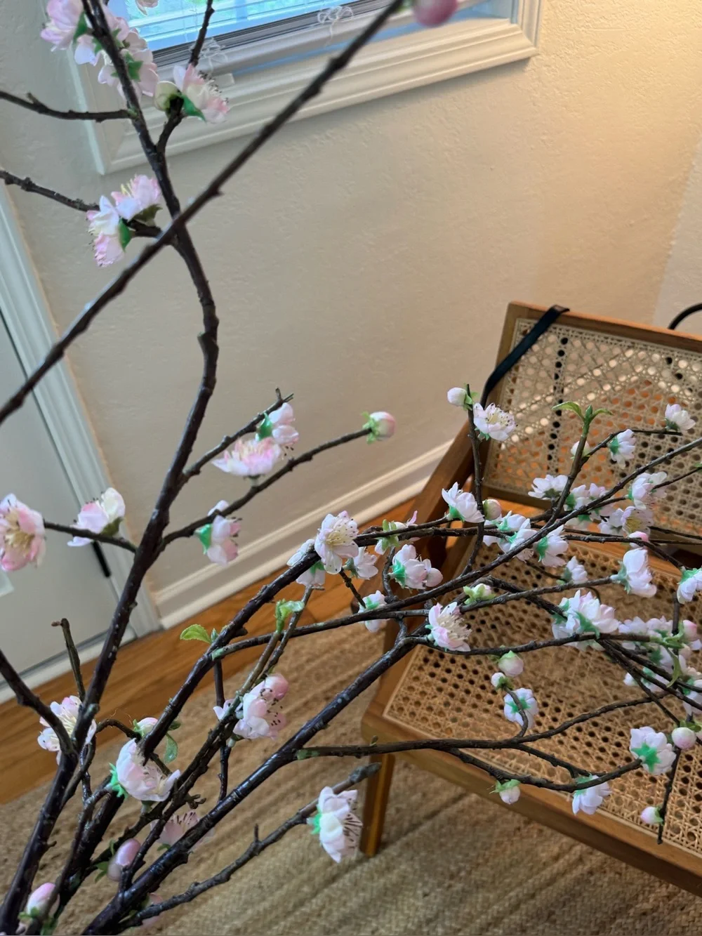 Three West Elm Cherry Blossom Branches